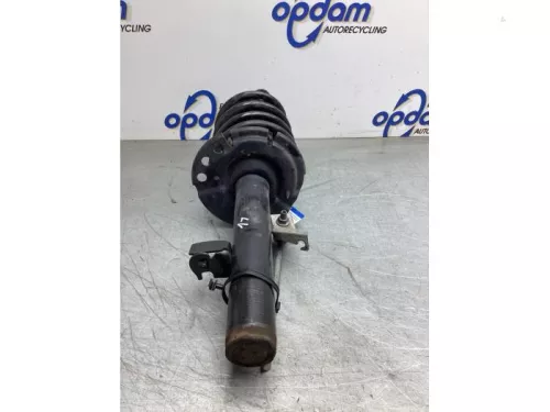 Schokdemperpoot links-voor-8068977