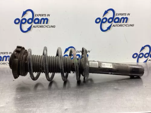 Schokdemperpoot links-voor-