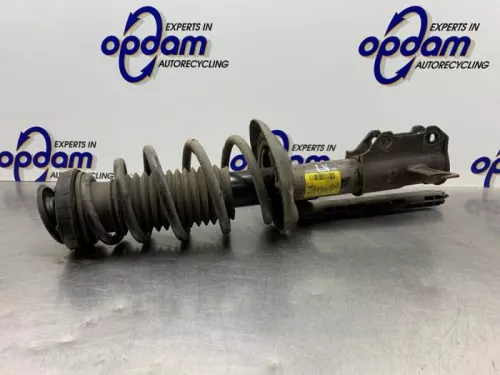 Schokdemperpoot links-voor-8160979