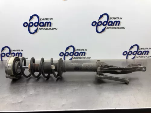 Schokdemperpoot links-voor-8081174