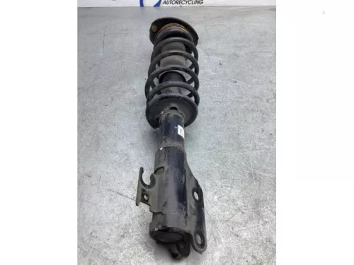 Schokdemperpoot links-voor-7941484