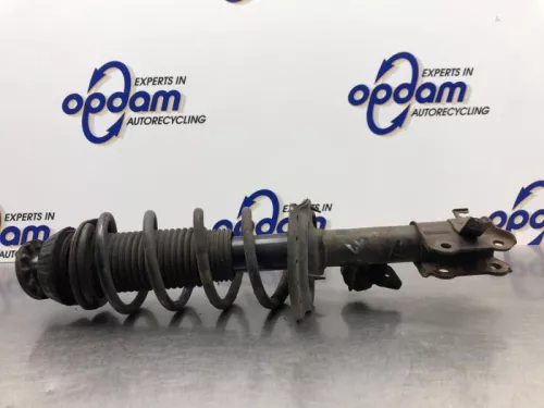 Schokdemperpoot links-voor-8119845