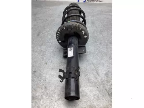 Schokdemperpoot links-voor-7860429