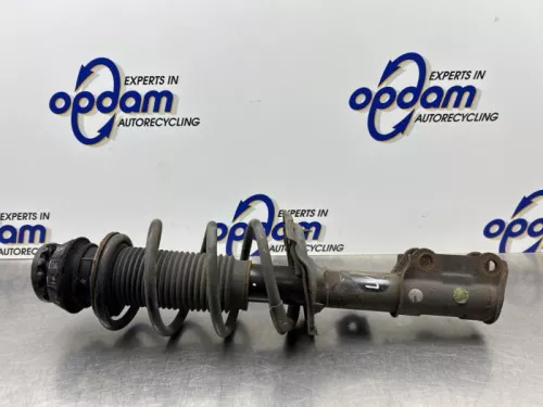 Schokdemperpoot links-voor-8180437