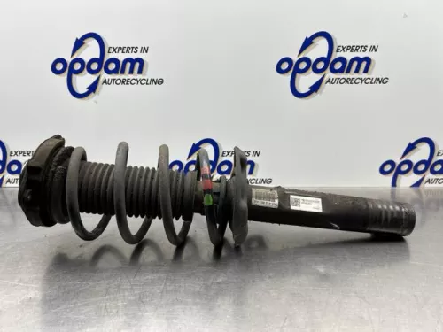 Schokdemperpoot links-voor-8264459