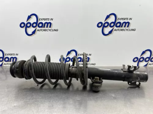 Schokdemperpoot links-voor-8181957