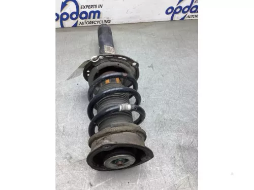 Schokdemperpoot links-voor-8247877