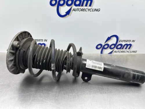 Schokdemperpoot links-voor-8287203