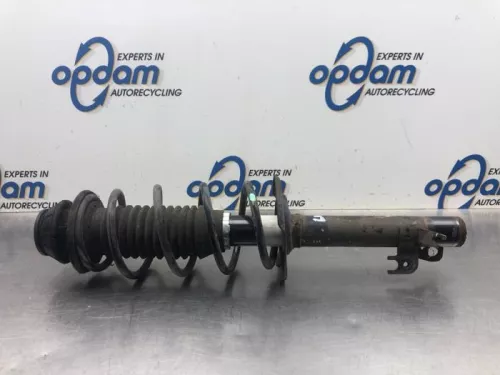 Schokdemperpoot links-voor-8069735