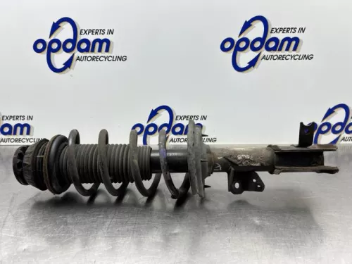 Schokdemperpoot links-voor-8060518