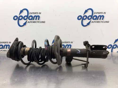 Schokdemperpoot links-voor-8050933