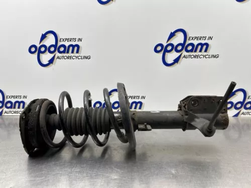 Schokdemperpoot links-voor-7324506