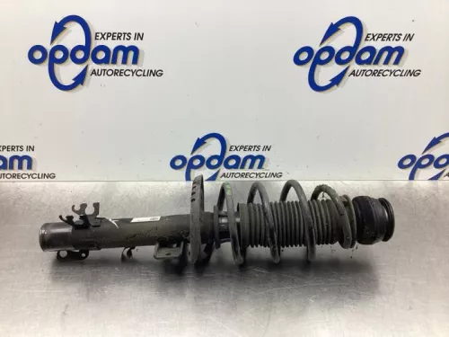 Schokdemperpoot links-voor-7616367