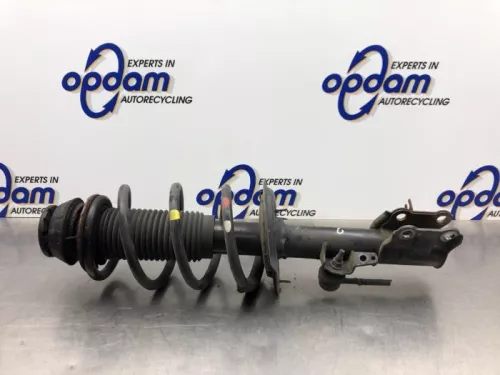 Schokdemperpoot links-voor-8092536