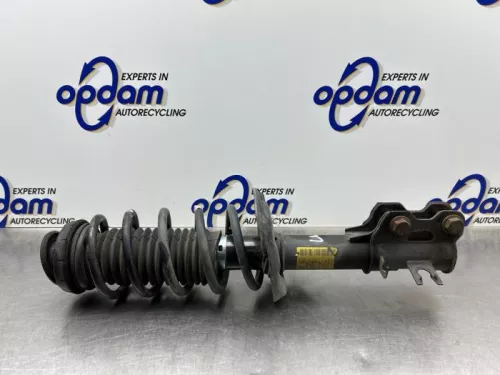 Schokdemperpoot links-voor-8079069