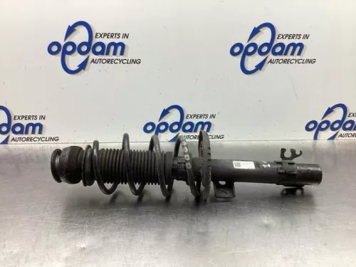 Schokdemperpoot links-voor-8031487