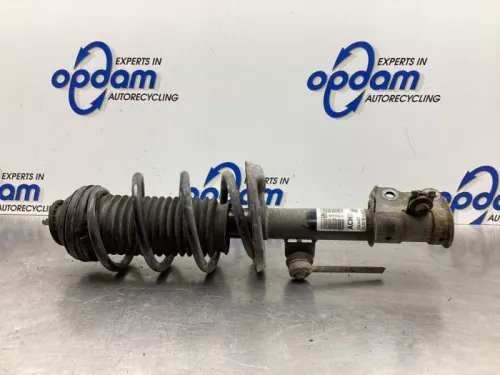 Schokdemperpoot links-voor-8029827