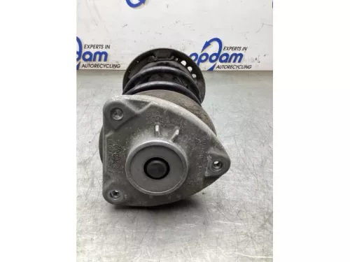 Schokdemperpoot links-voor-8140306