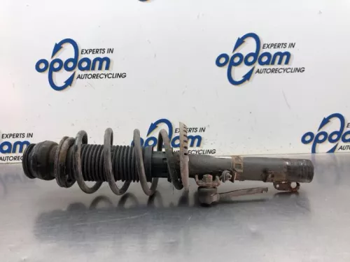 Schokdemperpoot links-voor-8056397