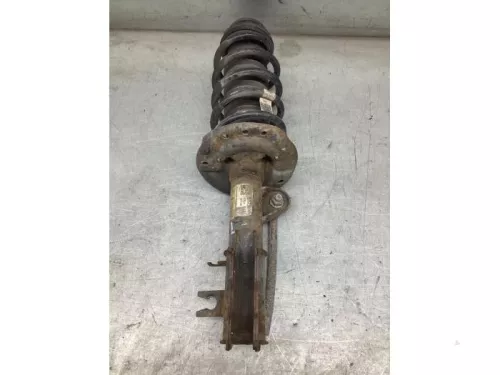 Schokdemperpoot links-voor-8065484