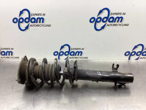 Schokdemperpoot links-voor-7349030