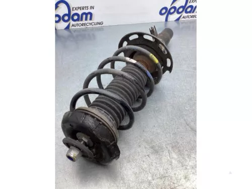 Schokdemperpoot links-voor-7588876