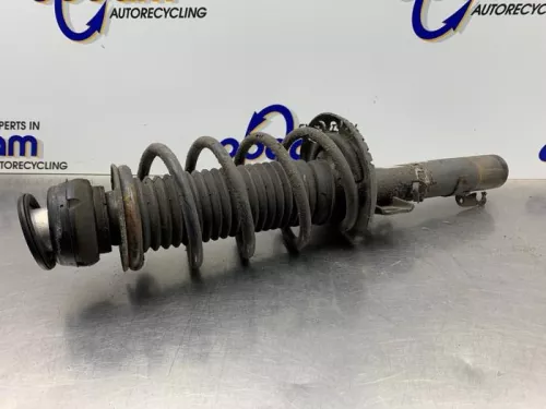 Schokdemperpoot links-voor-8264011