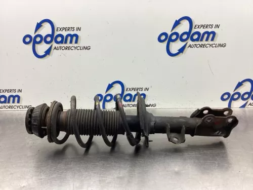 Schokdemperpoot links-voor-8057699