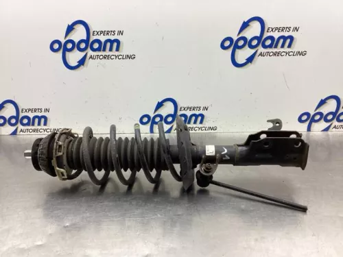 Schokdemperpoot links-voor-8084506