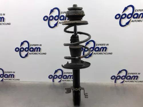 Schokdemperpoot links-voor-8206333