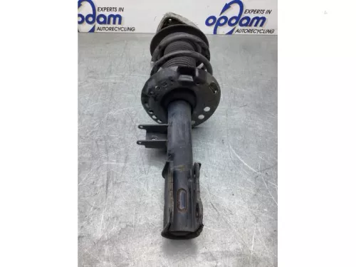 Schokdemperpoot links-voor-8073612