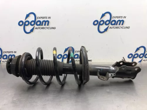 Schokdemperpoot links-voor-8113489