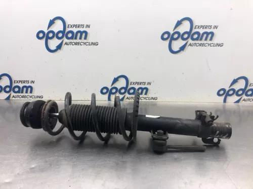 Schokdemperpoot links-voor-8120733