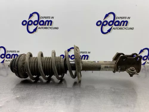 Schokdemperpoot links-voor-8238831