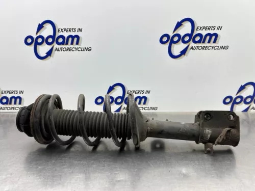 Schokdemperpoot links-voor-8191918