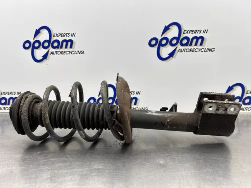 Schokdemperpoot links-voor-8242770