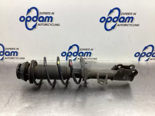 Schokdemperpoot links-voor-8099326