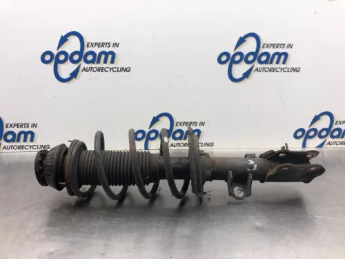 Schokdemperpoot links-voor-8110836