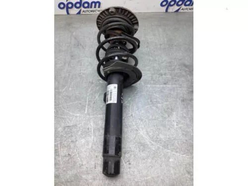 Schokdemperpoot links-voor-8122800