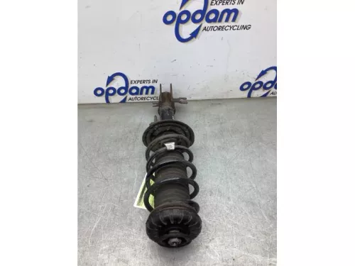 Schokdemperpoot links-voor-8289212