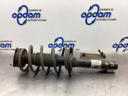 Schokdemperpoot links-voor-7576143