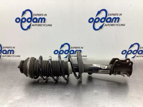 Schokdemperpoot links-voor-7983657