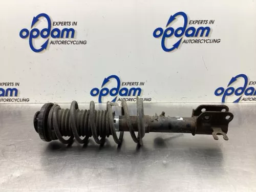 Schokdemperpoot links-voor-8046543