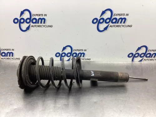 Schokdemperpoot links-voor-8053818