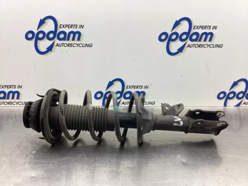 Schokdemperpoot links-voor-8035422