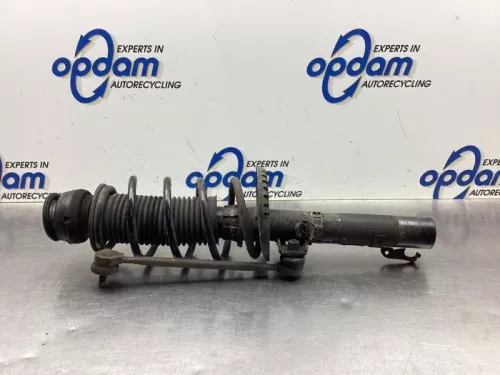 Schokdemperpoot links-voor-8108131