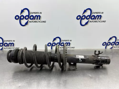 Schokdemperpoot links-voor-8218362