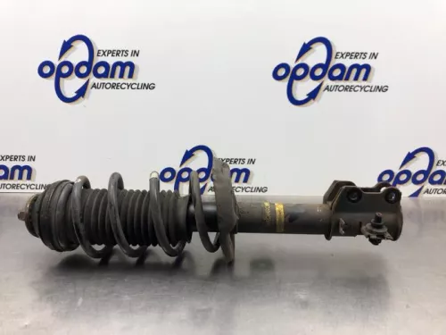 Schokdemperpoot links-voor-8257227