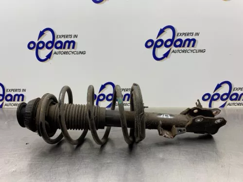 Schokdemperpoot links-voor-8280989