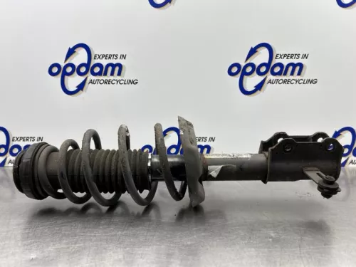 Schokdemperpoot links-voor-8226985